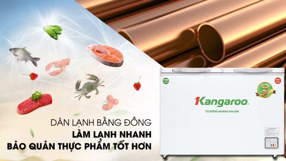 tủ đông còn luôn duy trì được một độ tươi ngon cho thức ăn và có thể kéo dài được thời gian để giữ đông thực phẩm một cách tối ưu