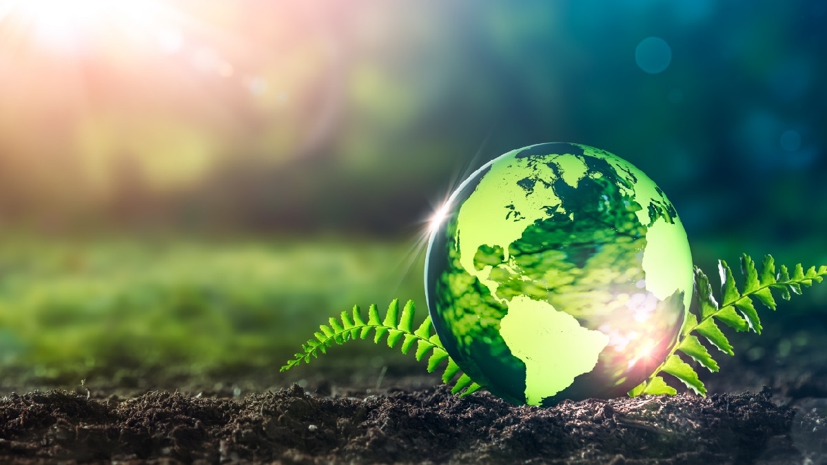 câu đố về ngày trái đất trên Google - hình 3