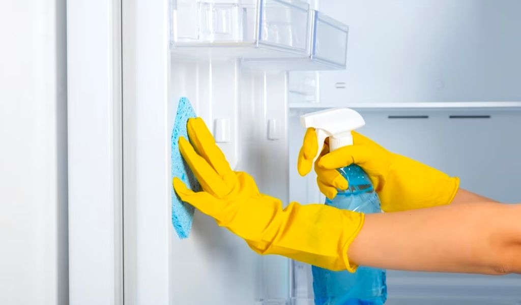 Tủ lạnh mặt gương là gì? Có bao nhiêu loại tủ lạnh mặt gương trên thị trường? 5