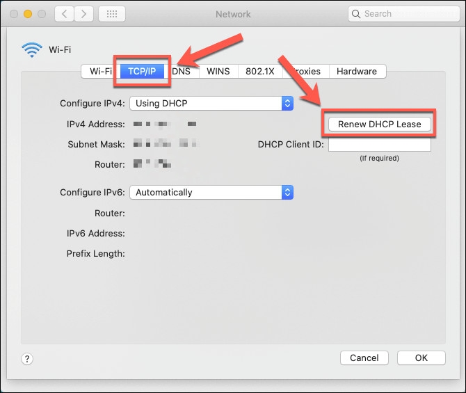Sử dụng ipconfig để làm mới, reset địa chỉ IP cho máy tính (7)