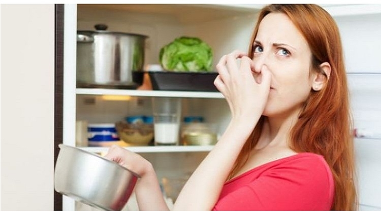 Thực phẩm để quá lâu trong tủ lạnh sẽ hỏng, gây mùi hôi khó chịu
