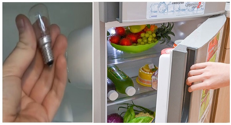 Đèn tủ lạnh bị cháy, không phát sáng