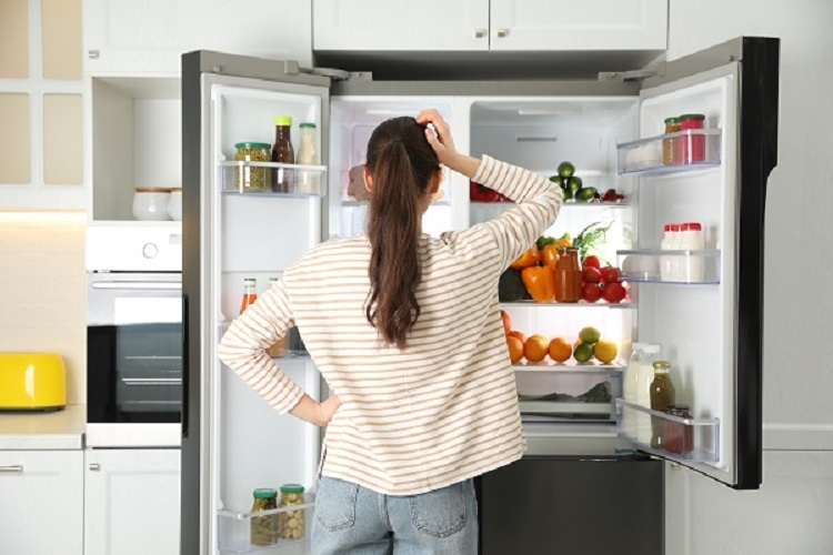 Tủ lạnh lâu ngày không dùng có hỏng không? Mẹo dùng tủ lạnh bền 1