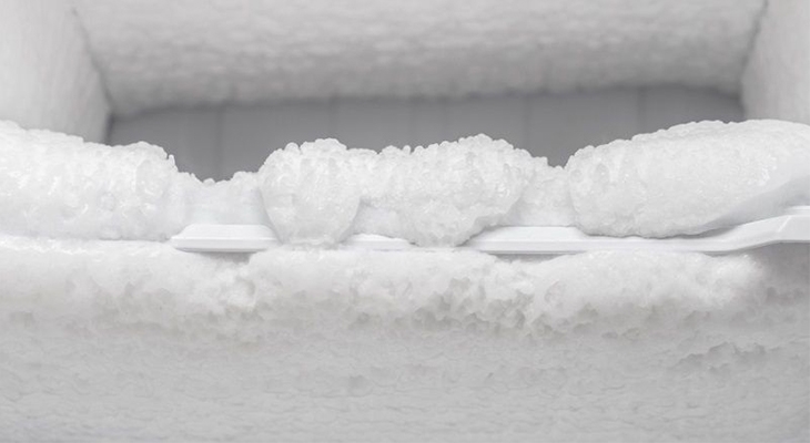 tủ lạnh không rơi đá - Ảnh 9