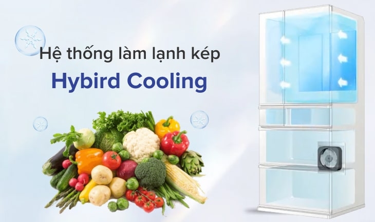 Tủ lạnh Sharp có những tính năng gì? Hệ thống làm lạnh kép Hybrid cooling giúp lan tỏa nhiệt đều, giảm thiểu tối đa sự mất nước trên thực phẩm