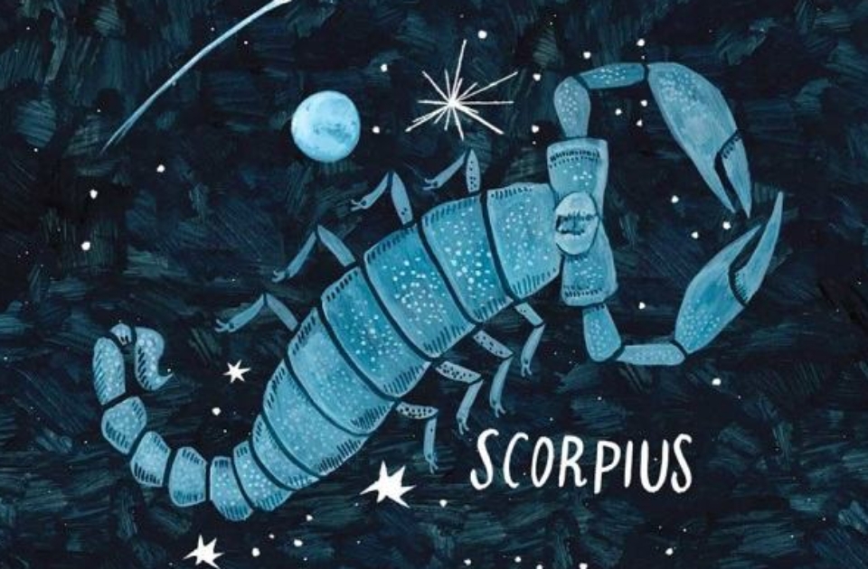 Mặt trời Bọ Cạp kết hợp cùng cung mọc Nhân Mã