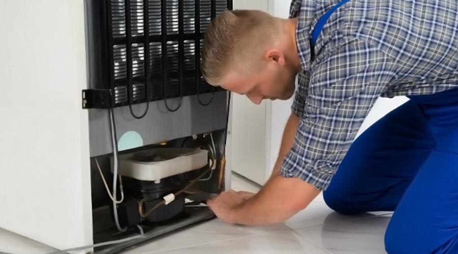 Vấn đề thường gặp trong khi sử dụng tủ lạnh bạn cần lưu ý để biết cách khắc phục hiệu quả 8