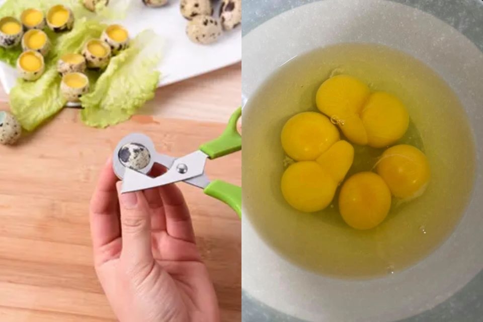 Đập trứng cút ra tô