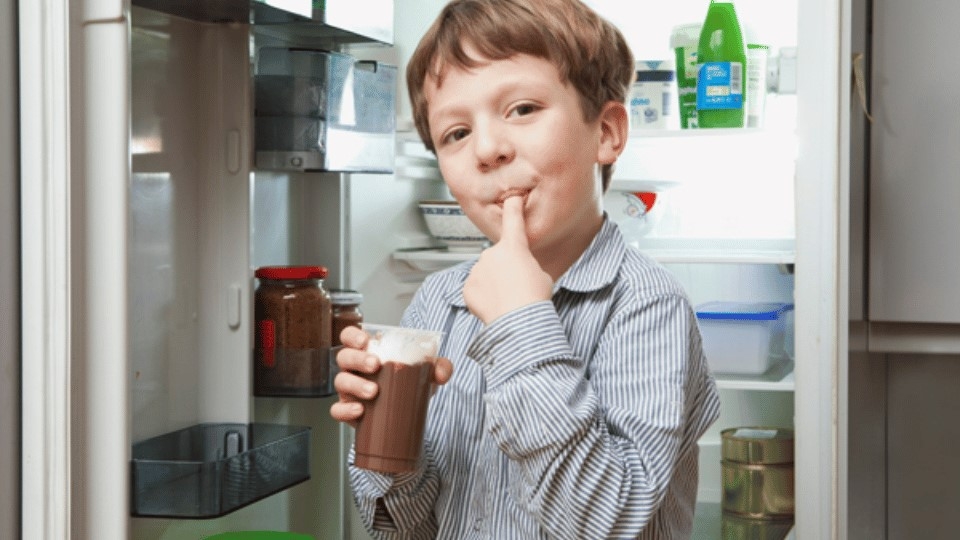Không được để trẻ em bám vào cửa tủ lạnh vì có thể gây nguy hiểm, giật điện,...