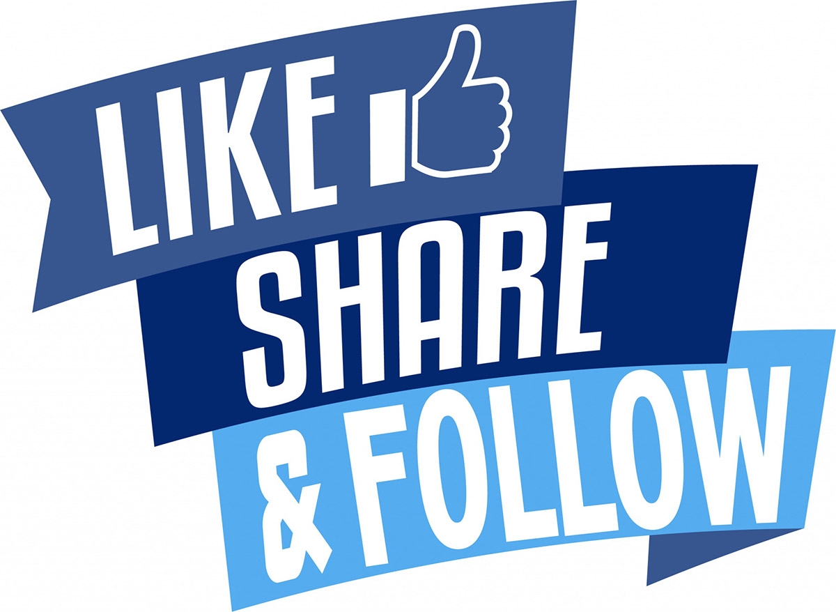 follow là gì - hình 4