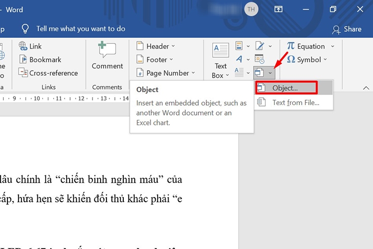 Hướng dẫn cách chèn file PDF vào Word (hình 3)