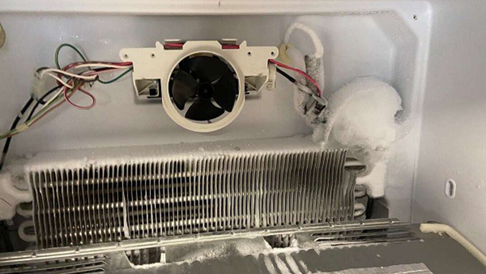 Mô tơ cánh quạt bị khô khiến tủ lạnh kêu
