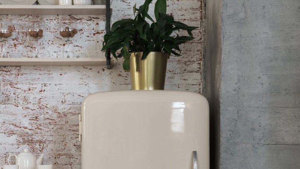 Đặt đồ nặng trên tủ lạnh kiến tủ kêu to