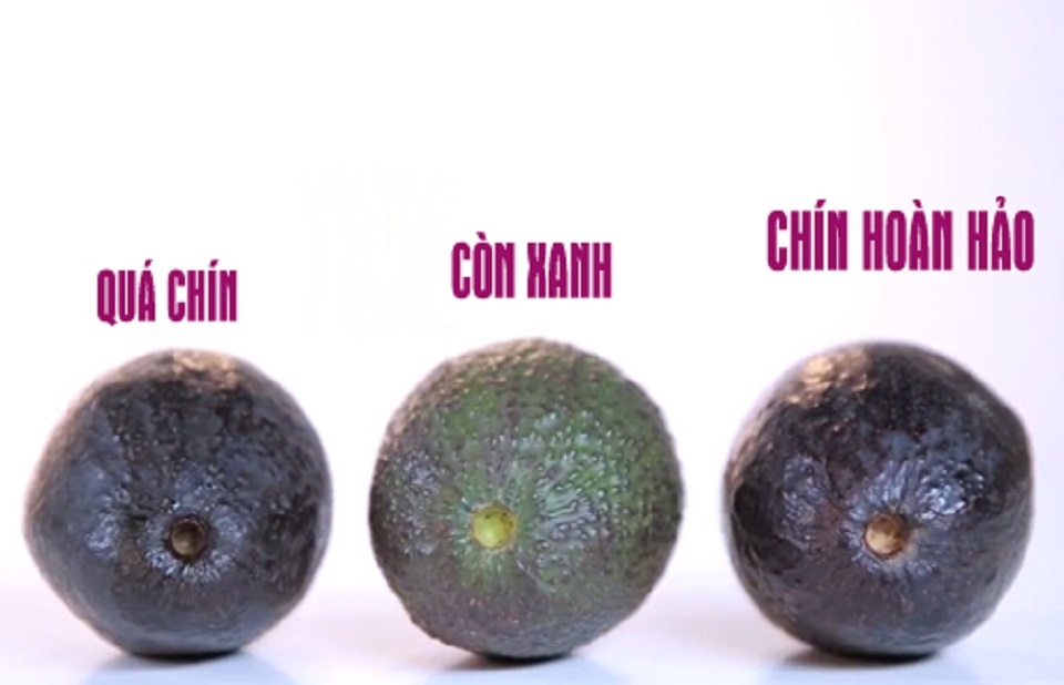 Mẹo chọn bơ thông qua cuống bơ