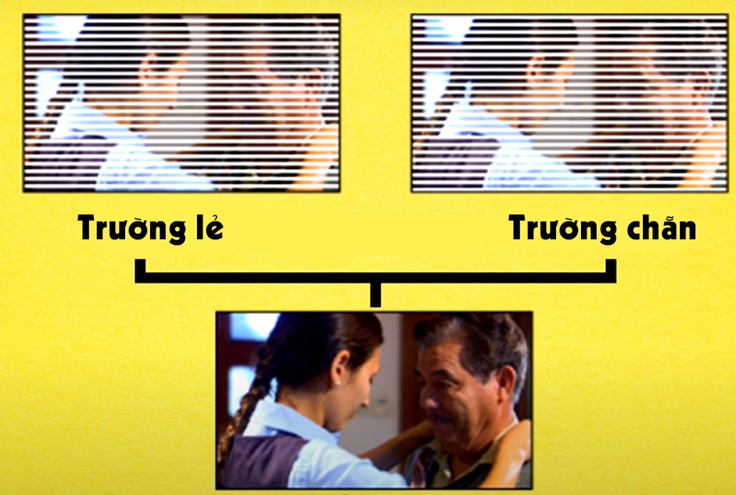 so sánh chuẩn 1080i và 1080p 1