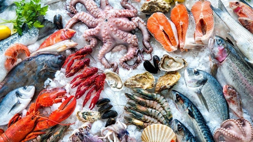 12 lỗi thường gặp trên tủ đông gồm những gì? Tìm hiểu ngay nguyên nhân và cách khắc phục 4
