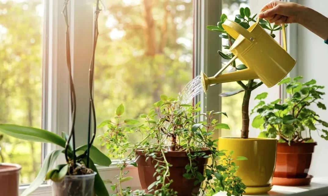 nước chảy ra từ điều hòa có sạch không 03