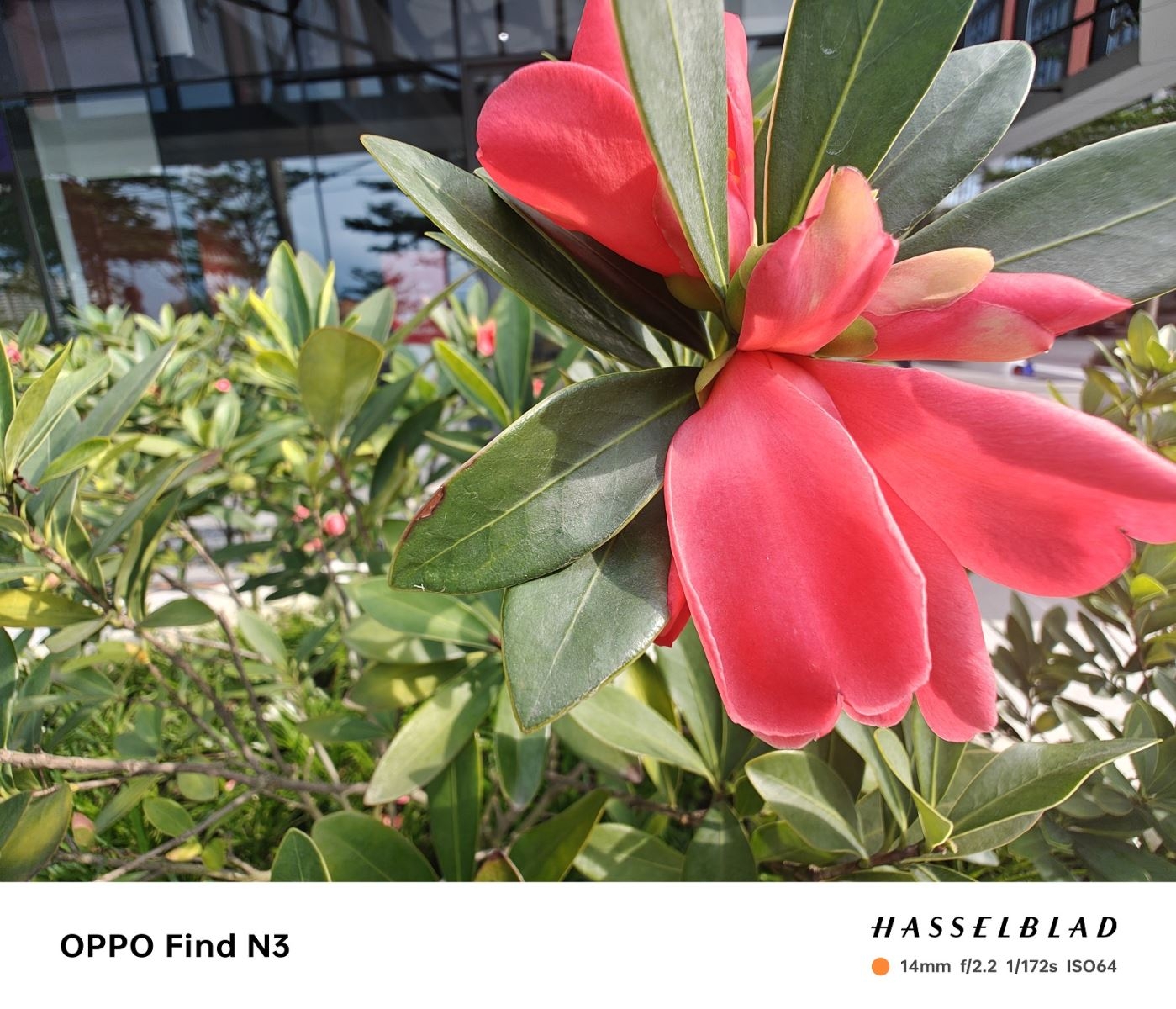 Đánh giá chi tiết OPPO Find N3 (ảnh 12)