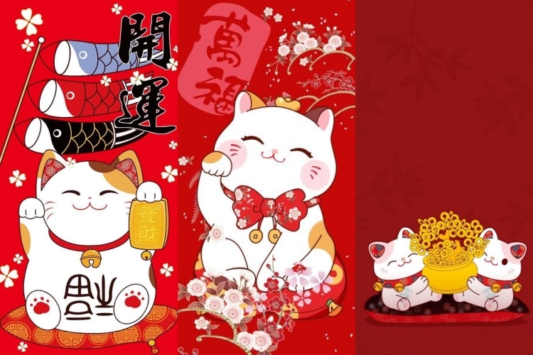 50+ hình nền mèo cute cực chất trang trí điện thoại, máy tính