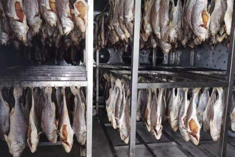 Sấy khô hoặc phơi nắng thực phẩm