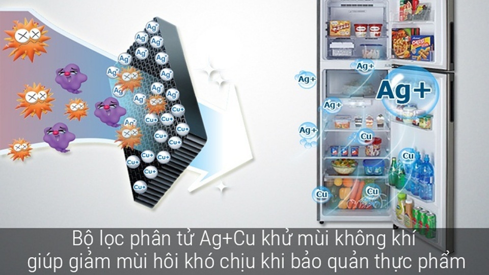 Bộ lọc vi khuẩn