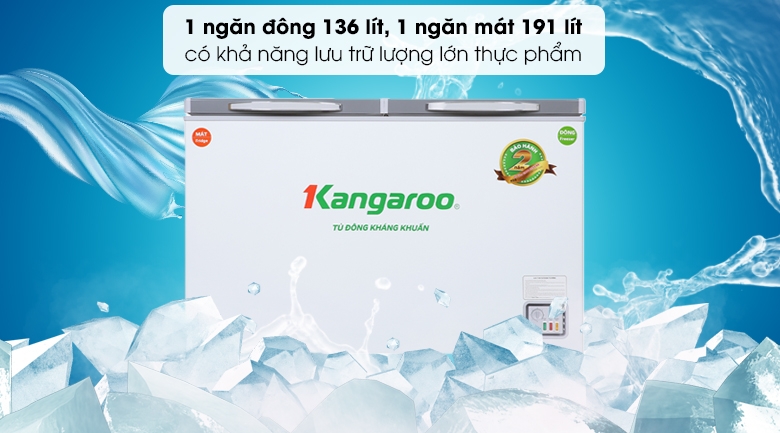 tiêu chí chọn mua tủ đông phù hợp - Ảnh 1