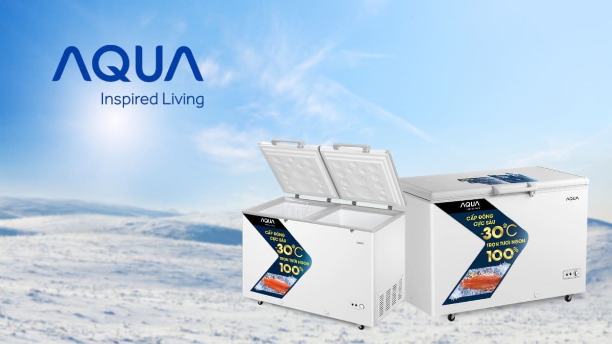 tiêu chí chọn mua tủ đông phù hợp - Ảnh 11