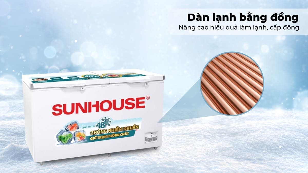 tiêu chí chọn mua tủ đông phù hợp - Ảnh 12