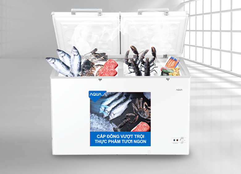 tiêu chí chọn mua tủ đông phù hợp - Ảnh 5