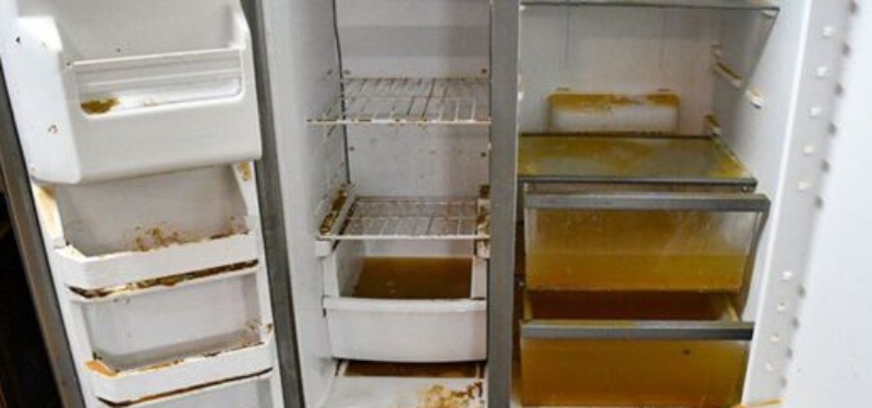 Tủ lạnh bị ngập nước có sao không hình 5