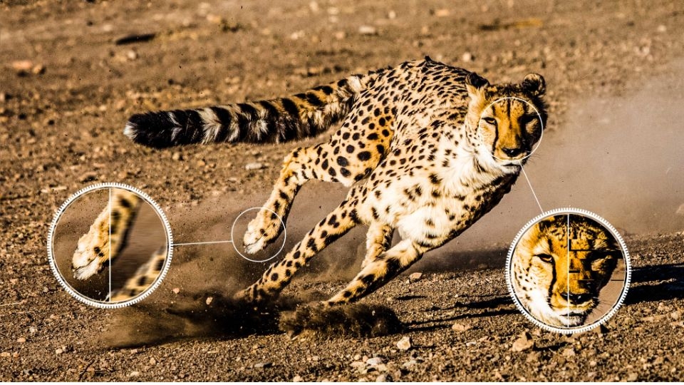 aipq gen 3 của tivi tcl là gì 4