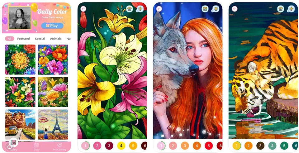 Coloring Book: Color by Number