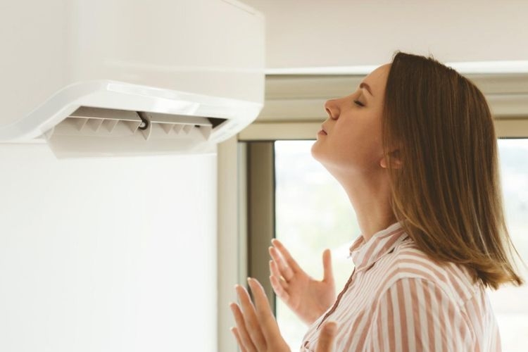 Máy lạnh có mùi hôi (Hình 1)