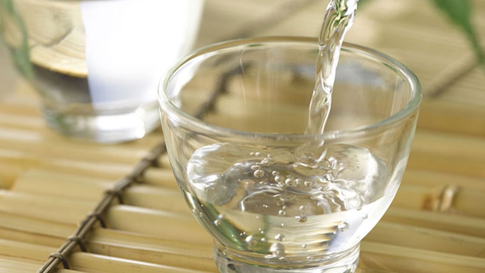 Cần thay nước thường xuyên cho bát nước