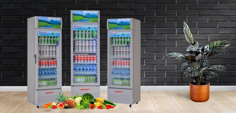 Cách vệ sinh tủ mát Sanaky hình 1