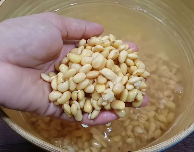 cách dùng máy làm sữa đậu nành 2