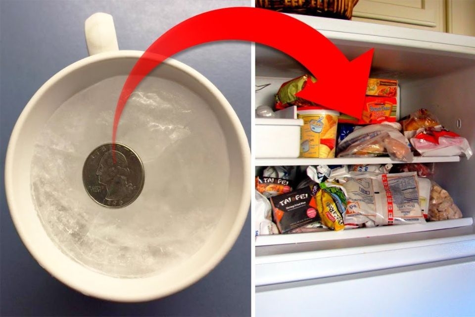 Công dụng đồng xu trong tủ lạnh 1