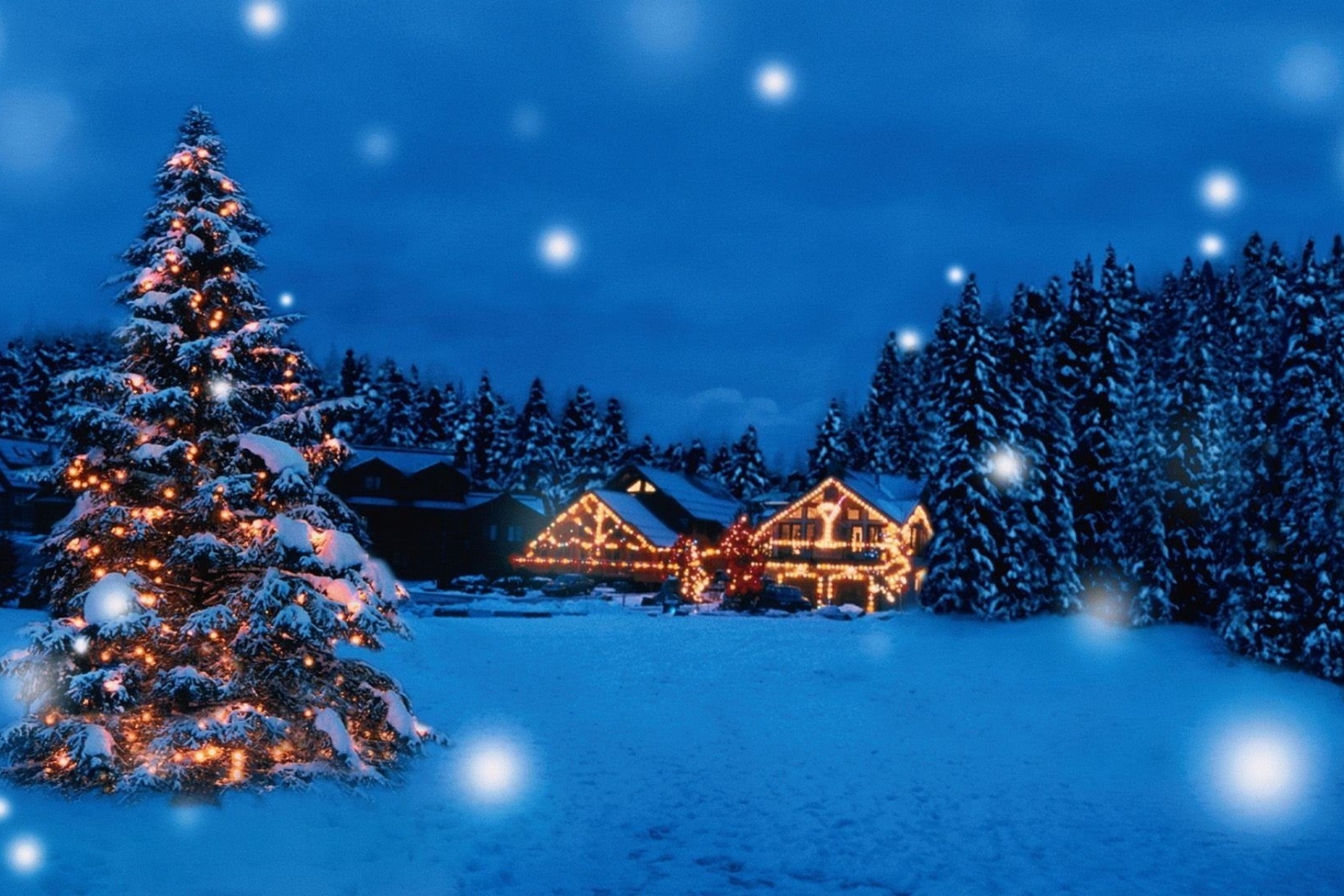 Hình nền Giáng Sinh phong cảnh