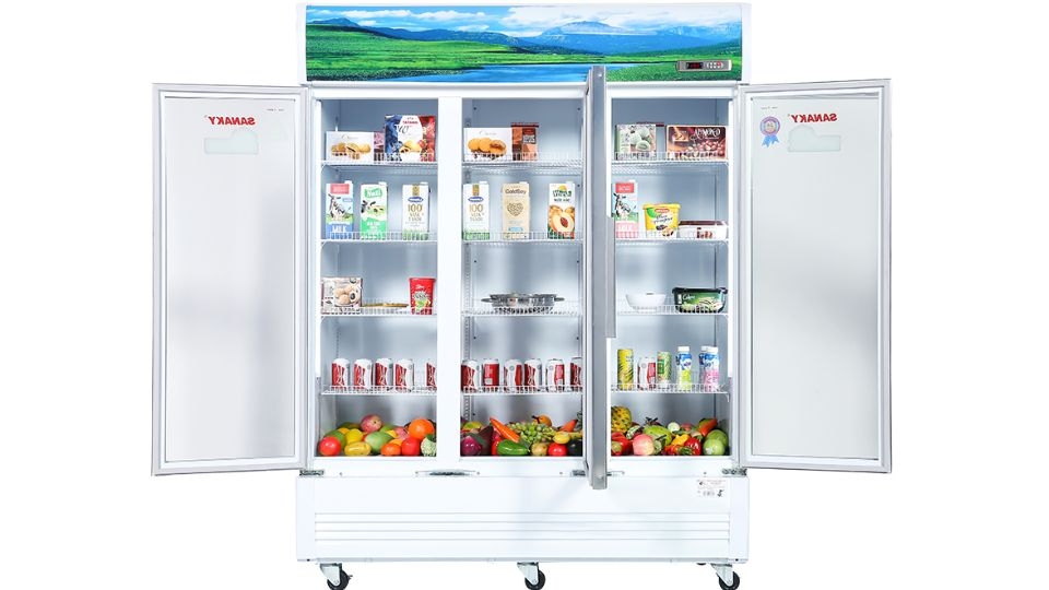 có nên mua tủ mát sanaky 1