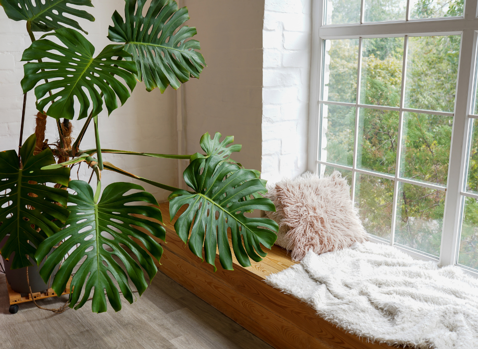 Bổ sung các mảng cây xanh