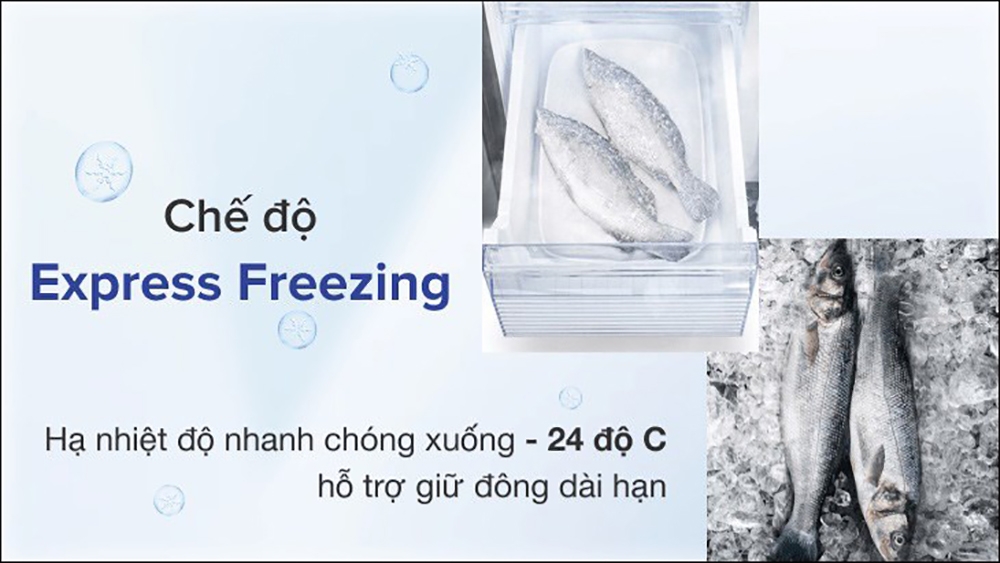 tích hợp chế độ Express Freezing