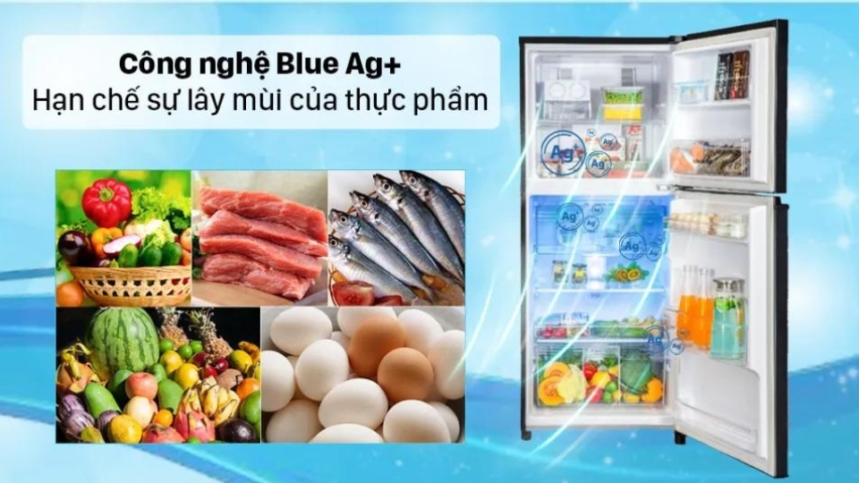 Tủ lạnh sạch sẽ và hạn chế sự lây mùi nhờ công nghệ Blue Ag+