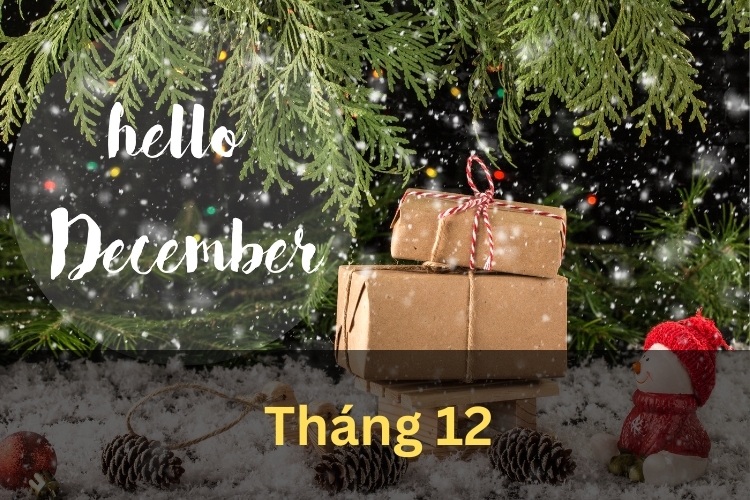 tháng 12 trong tiếng anh