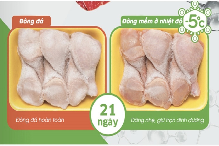 Khám phá công nghệ cấp đông mềm trên tủ đông Kangaroo 2