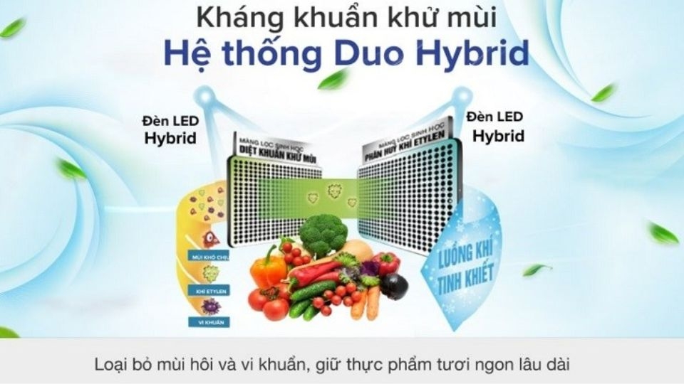 Công nghệ khử mùi Hybrid Bio và Hybrid Plasma