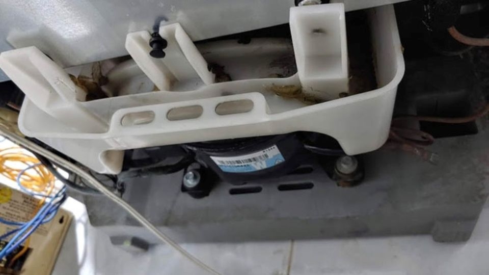 Bước 7: Vệ sinh khay nước bên sau tủ lạnh