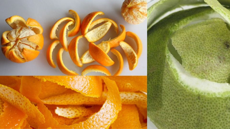 Vỏ bưởi, cam, quýt tươi