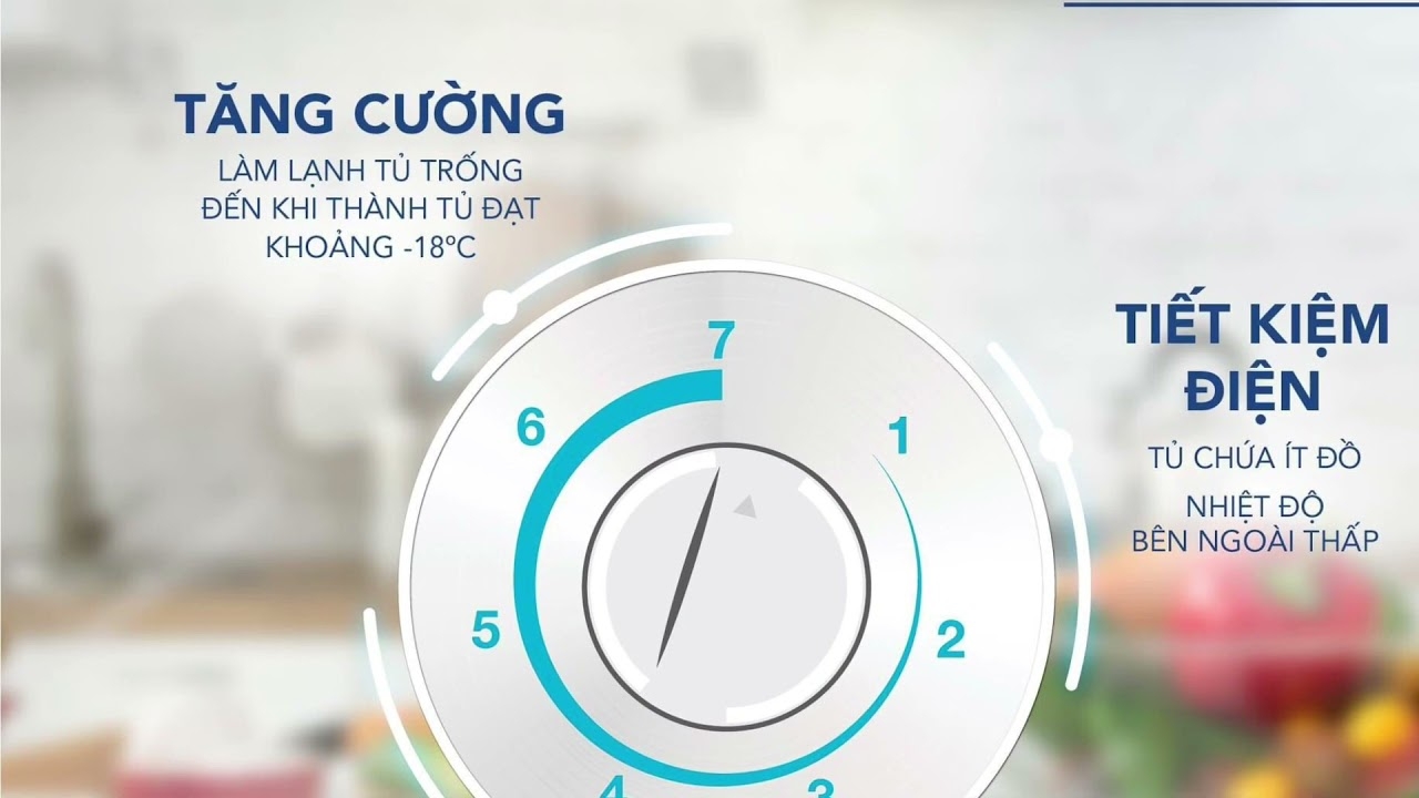 Cách sử dụng tủ đông Hòa Phát: Lắp đặt như thế nào khi mới mua về, bạn có biết? 2