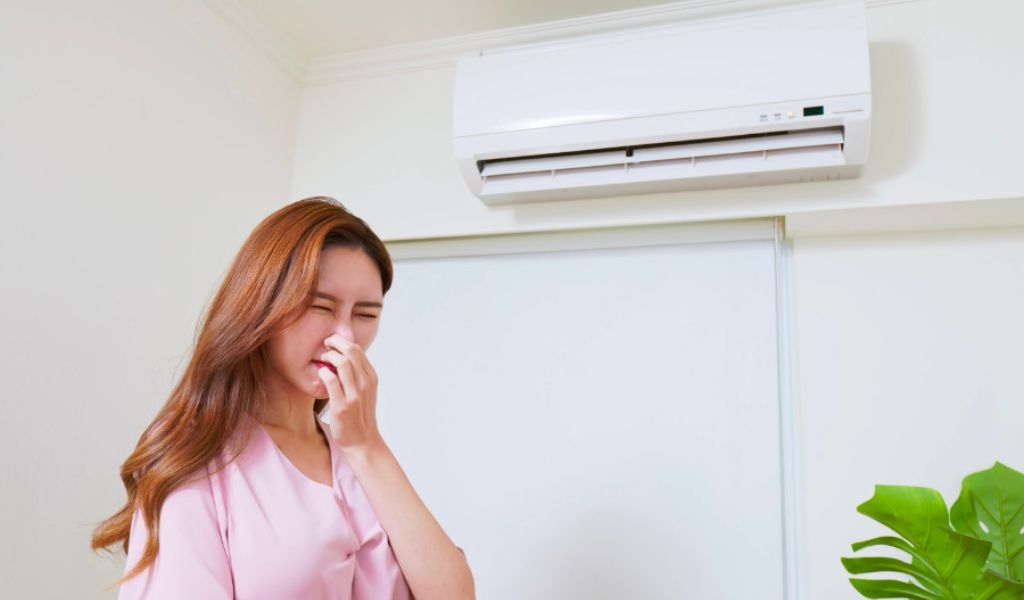 Các công nghệ kháng khuẩn khử mùi trên điều hòa Daikin phổ biến nhất hiện nay 1