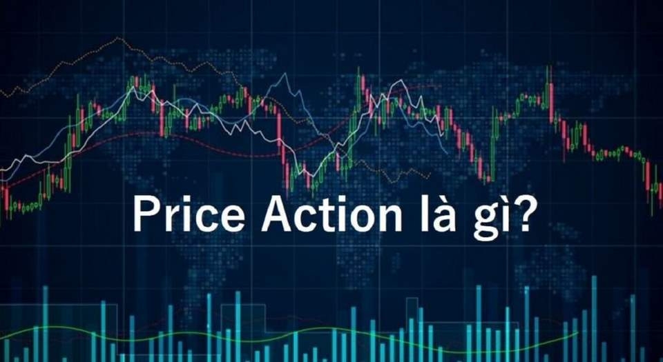 Giới thiệu những thông tin cơ bản